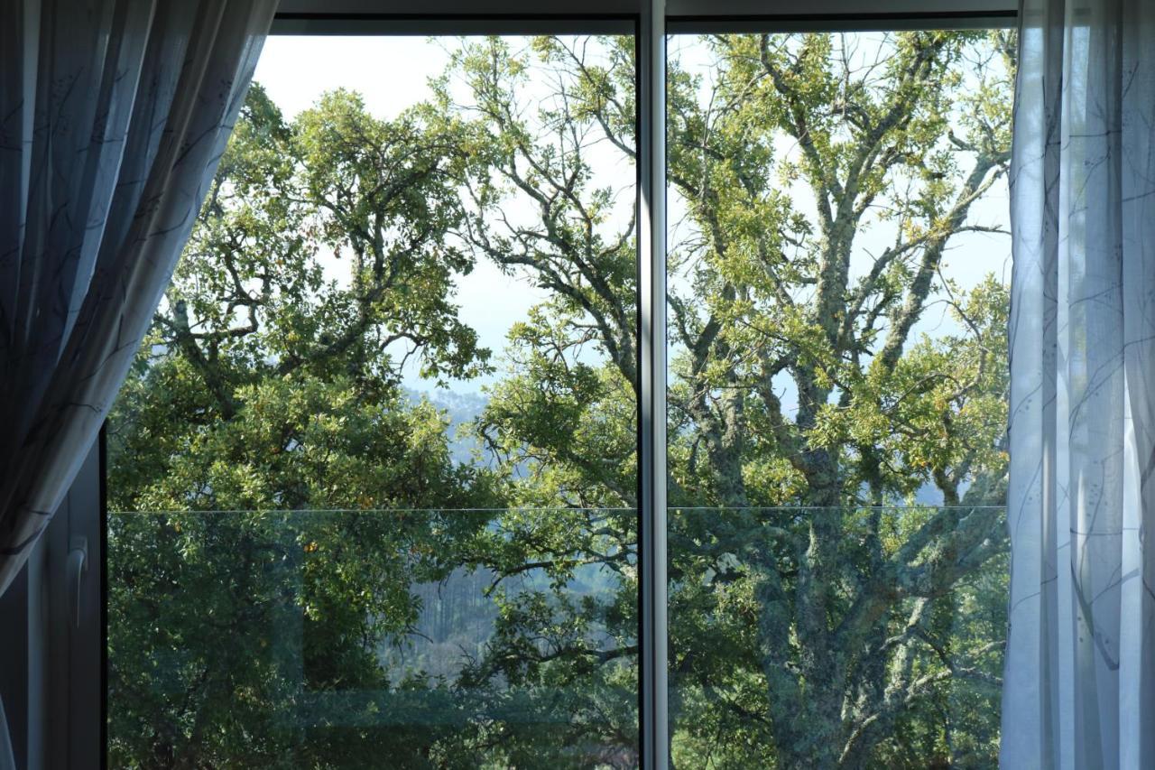 Vilafoia Monchique Eksteriør billede